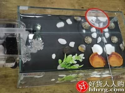超白鱼缸创意玻璃水族箱，桌面客厅斗鱼金鱼缸