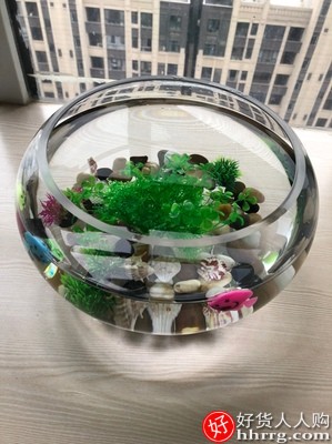 办公室桌面圆形金鱼缸，加厚透明玻璃乌龟缸