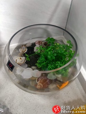 办公室桌面圆形金鱼缸，加厚透明玻璃乌龟缸