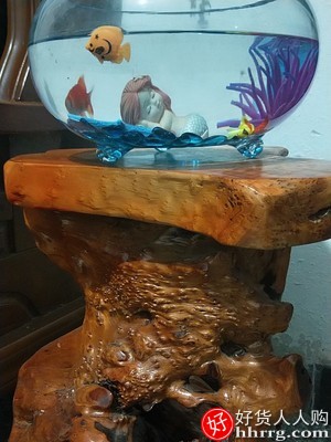 办公室桌面圆形金鱼缸，加厚透明玻璃乌龟缸插图5