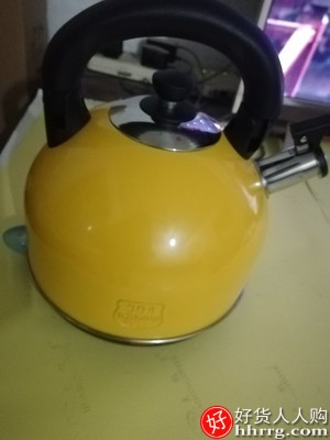 格立高电热水壶，304不锈钢大容量开水壶烧水器插图3