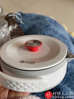 德尔玛折叠式电热水壶，小型迷你家用便携式恒温热水电烧水壶插图1