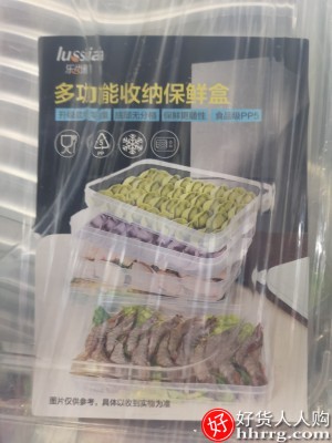 饺子盒冻饺子家用速冻水饺盒，馄饨盒冰箱鸡蛋保鲜收纳盒插图2