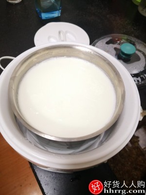 九阳酸奶机，小型不锈钢内胆智能自制发酵米酒插图4