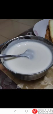 九阳酸奶机，小型不锈钢内胆智能自制发酵米酒插图5