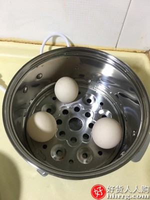 名友煮蛋器，家用煮蛋多功能早餐机插图5