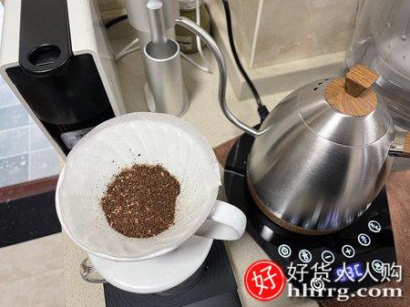 Brewista手冲咖啡壶，家用不锈钢细长嘴电热水壶泡茶温控壶插图3
