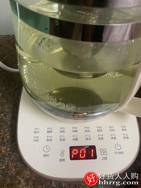 小熊养生壶YSH-D15Y1，家用多功能煮烧水壶煮茶壶插图2