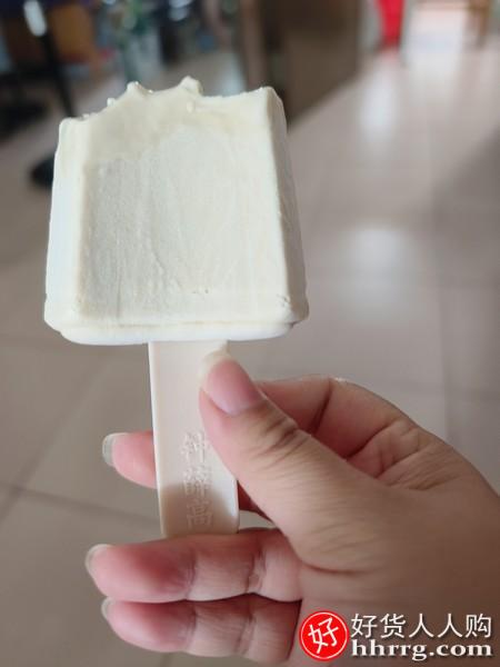 钟薛高冰淇淋共10片，全家福系列10种口味牛乳雪糕插图3