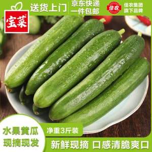 京鲜生＆佳农 山东荷兰水果黄瓜 净重3斤 小青瓜单果80g