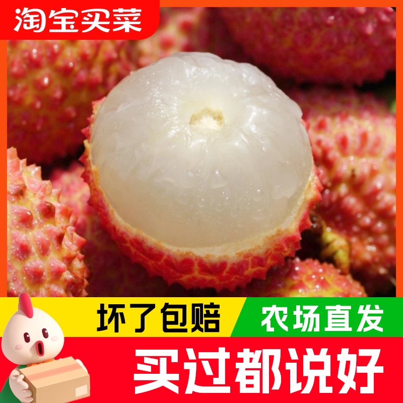 广东高州老树桂味荔枝 4.5斤礼盒装 单果16g+