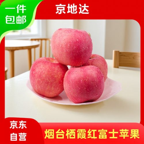 京地达 山东烟台栖霞红富士苹果 净重4.5斤 单果约230g