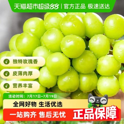 PANZHIHUA FRUIT 攀果 阳光玫瑰葡萄 香印青提 4.5斤 大果 单果10-12g
