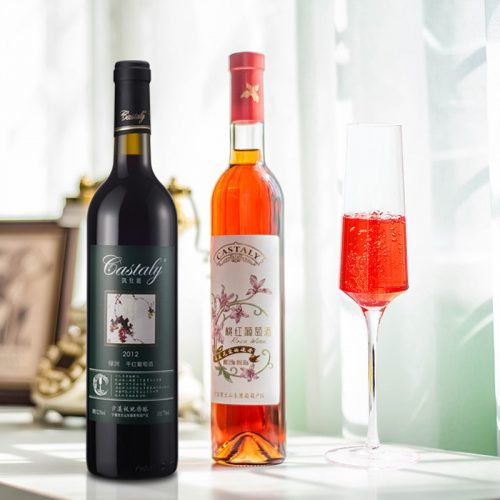 Castaly 凯仕丽 绿洲干红葡萄酒750mL*2瓶