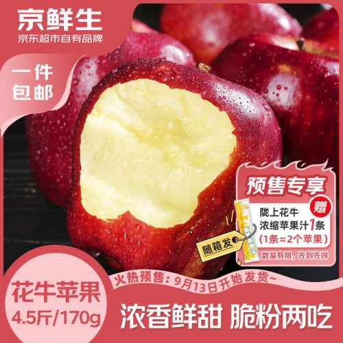 京鲜生 甘肃天水花牛苹果 单枚170g+ 净重4.5斤-1 京鲜生 甘肃天水花牛苹果 单枚170g+ 净重4.5斤-1