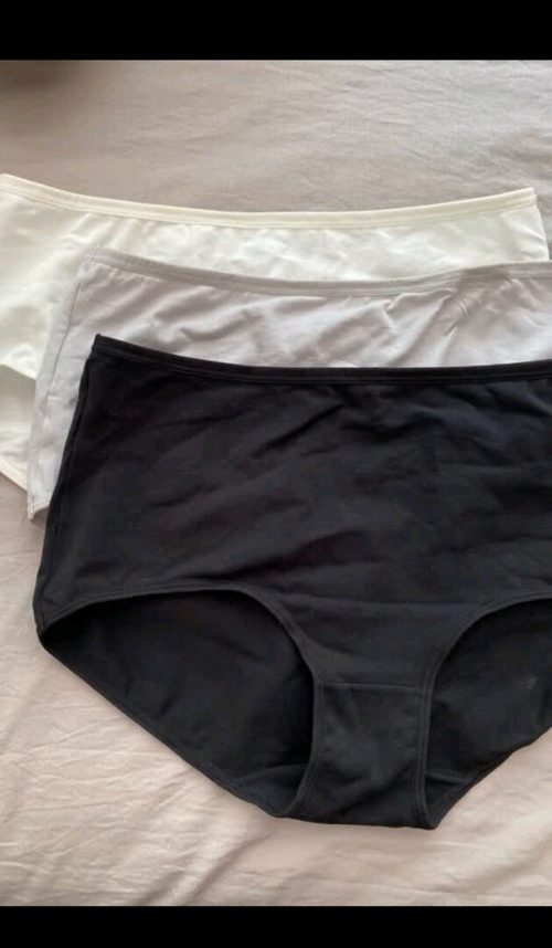 松山棉店 40支新疆纯棉女士内裤 3条装-3