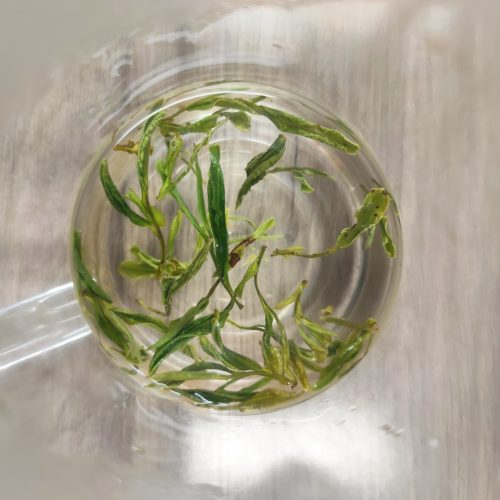 徽六 2025新茶 特二级霍山黄芽 50g-3