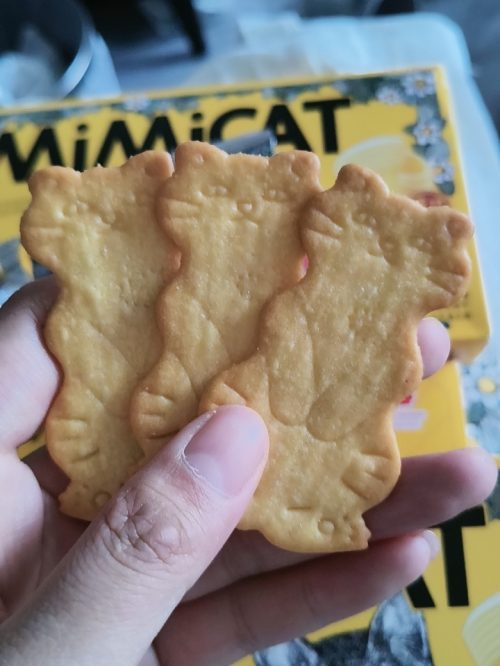 AOLIGEI/奥力给 黄油猫酪饼干 小猫小鸡蛋曲奇芝士-3