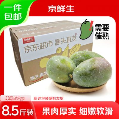 京觅 攀枝花凯特芒果 8.5斤/单果400g起