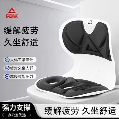 匹克 PEAK 护腰坐垫 矫姿靠垫 静谧黑