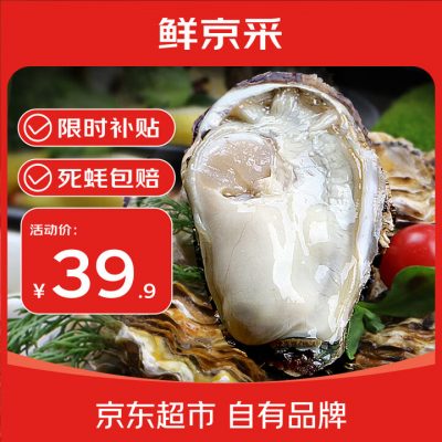 鲜京采 鲜活生蚝3XL 净重5斤 13-18只-1 鲜京采 鲜活生蚝3XL 净重5斤 13-18只-1